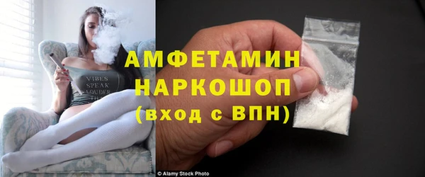 молекула духа Бородино