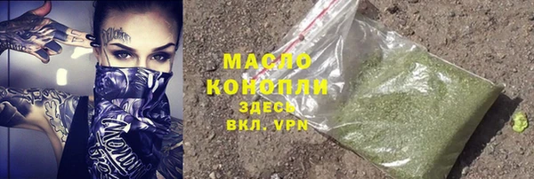 амф Верхний Тагил