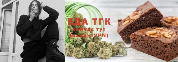 амф Верхний Тагил